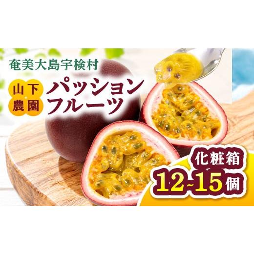 ふるさと納税 果物類 鹿児島県 宇検村 2026年6〜7月頃順次発送予定 パッションフルーツ 1箱(12個〜15個入) 贈答用 鹿児島県産 国産 電照栽培 栽培期間中農…