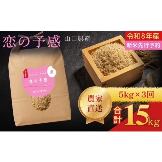 ふるさと納税 米 山口県 下関市 定期便3ヶ月 令和8年産 恋の予感 玄米 5kg 計15kg 定期便3ヶ月 5kg 計15kg