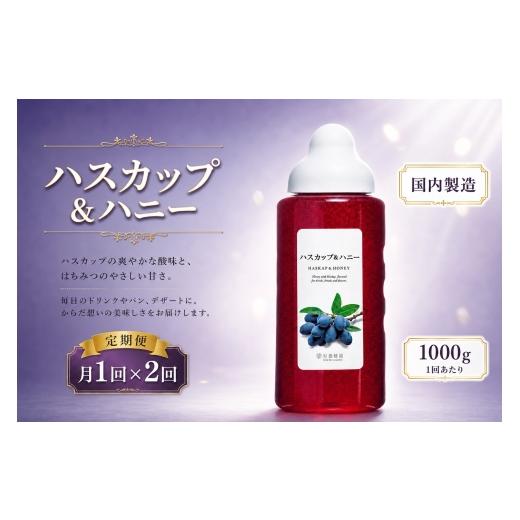 ふるさと納税 加工品等 はちみつ 熊本県 熊本市 2回定期便 果汁入りはちみつ ハスカップ 1000g はちみつ ハチミツ 蜂蜜 ハニー 蜜 果汁 杉養蜂園 定期便