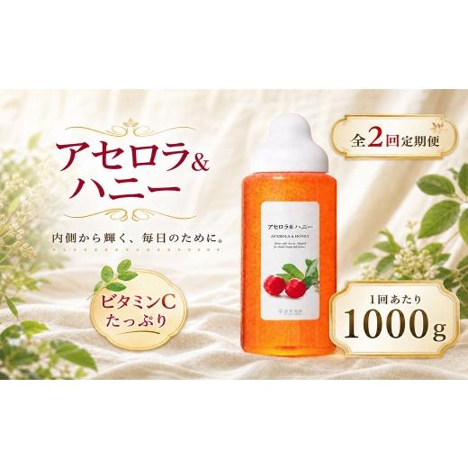ふるさと納税 加工品等 はちみつ 熊本県 熊本市 2回定期便 アセロラ 果汁入りはちみつ 1000g はちみつ ハチミツ 蜂蜜 ハニー 蜜 果汁 杉養蜂園 定期便