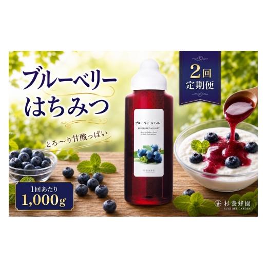 ふるさと納税 加工品等 はちみつ 熊本県 熊本市 2回定期便 ブルーベリー 果汁入りはちみつ 1000g はちみつ ハチミツ 蜂蜜 ハニー 蜜 果汁 杉養蜂園 定期便