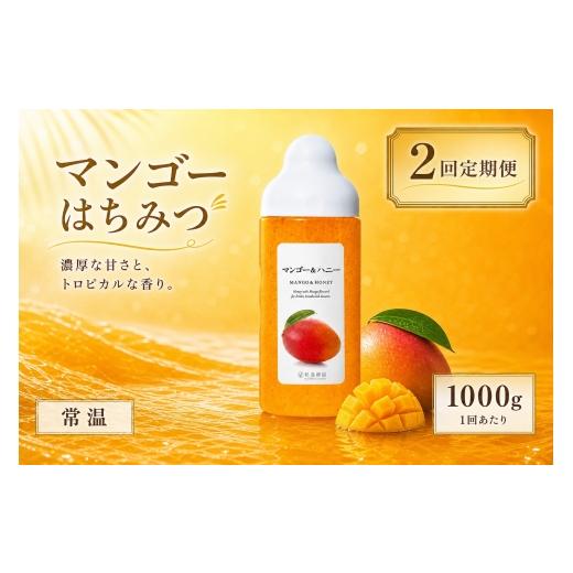 ふるさと納税 加工品等 はちみつ 熊本県 熊本市 2回定期便 マンゴー 果汁入りはちみつ 1000g はちみつ ハチミツ 蜂蜜 ハニー 蜜 果汁 杉養蜂園 定期便
