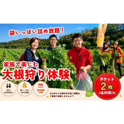 ふるさと納税 体験チケット 岩手県 一関市 収穫体験 大根狩り チケット 2枚 4名分 収穫体験 取り放題 野菜 だいこん 詰め放題 農業体験 ファミリー向け 岩手…