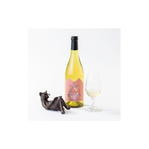 ふるさと納税 ワイン 白ワイン 長野県 茅野市 ピノグリ PinotGris 750ml 1本 1753229