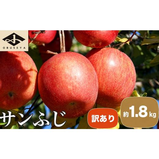 ふるさと納税 りんご 長野県 小布施町 訳あり 先行受付 サンふじ 約1.8kg[小布施屋]| りんご 林檎 リンゴ 不揃い 規格外 果物 フルーツ 生産者応援 支援 …