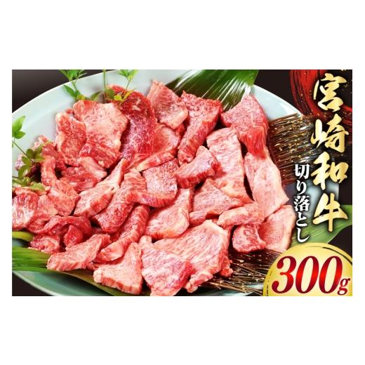 ふるさと納税 牛肉 宮崎県 日向市 牛肉 宮崎和牛 切り落とし 焼肉 300g 道の駅「日向」物産館 宮崎県 日向市 452061758 切落し 黒毛和牛 宮崎県産 厚め カット…