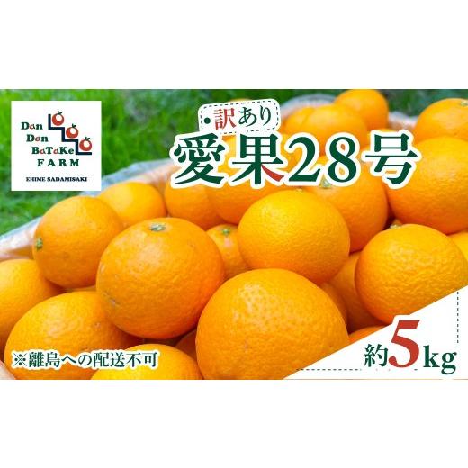 ふるさと納税 果物類 みかん 愛媛県 伊方町 先行予約 訳あり 愛果28号 約5kg(小玉) | 柑橘 みかん 果物 フルーツ 愛媛県産 農家直送 離島への配送不可 …