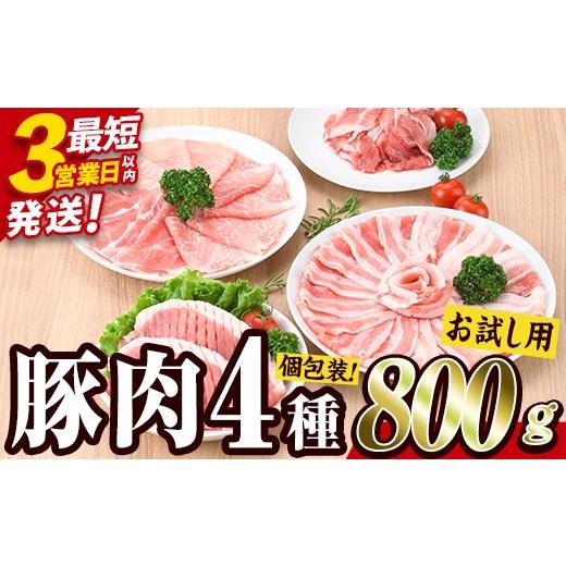ふるさと納税 豚肉 ロース 大分県 佐伯市 ＼3営業日以内発送/ お試し用 豚肉バラエティーパック (合計800g ・4種) 豚 ぶた 豚バラ とんかつ ロース 豚こま …