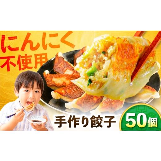 ふるさと納税 餃子 岐阜県 岐阜市 野菜たっぷり手作り餃子 50個 国産 ぎょうざ おかず 岐阜市 / ながらぱいたん珀