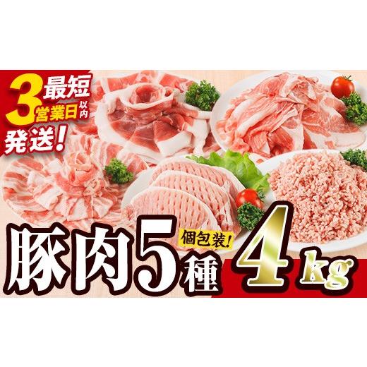 ふるさと納税 豚肉 ロース 大分県 佐伯市 ＼3営業日以内発送/ 豚肉 バラエティーパック (合計4kg) 豚バラ しゃぶしゃぶ 鍋 とんかつ ロース 小分け 個包装 豚…