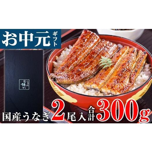 ふるさと納税 うなぎ 和歌山県 有田市 お中元・夏ギフト用 国産うなぎ 蒲焼き 大サイズ 2本 合計300g以上(A1178-1)