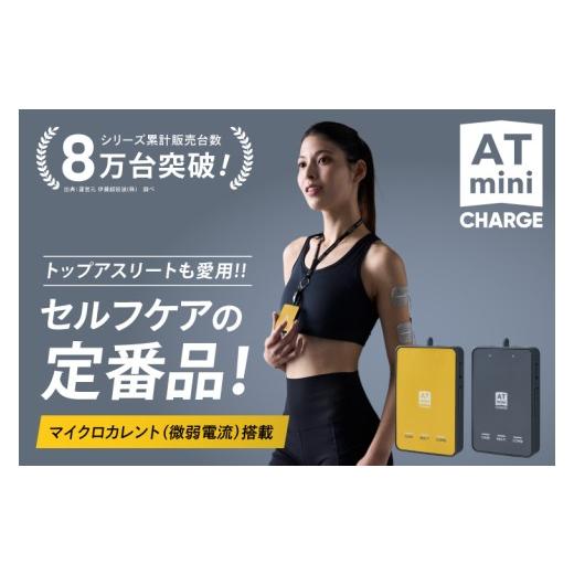 ふるさと納税 美容・健康家電 茨城県 阿見町 ATmini CHARGE 伊藤超短波 低周波 小型 軽量 コンパクト リカバリー 筋肉ケア セルフケア リフレッシュ 筋肉疲労 …