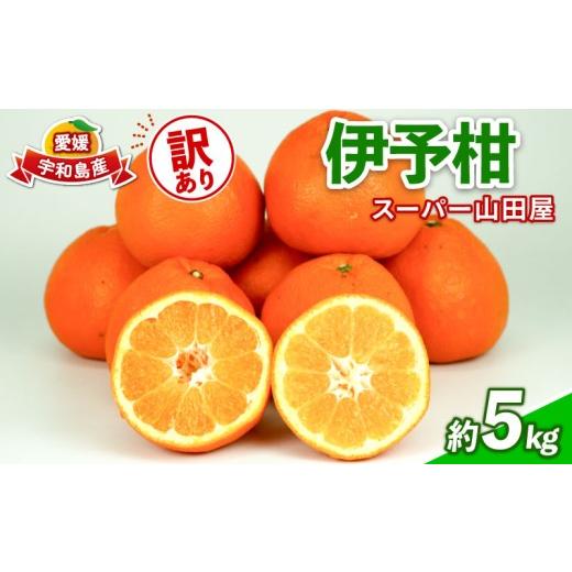 ふるさと納税 果物類 みかん 愛媛県 宇和島市 みかん 訳あり 伊予柑 いよかん 約5kg スーパー山田屋 先行予約 果物 くだもの フルーツ 柑橘 mikan 蜜柑 愛媛蜜…