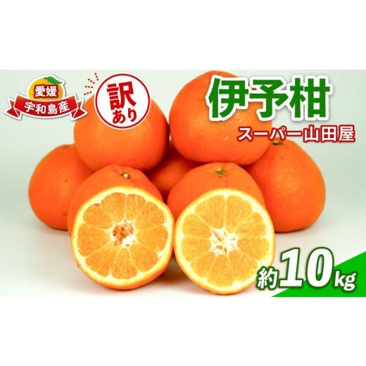 ふるさと納税 果物類 みかん 愛媛県 宇和島市 みかん 訳あり 伊予柑 いよかん 約10kg スーパー山田屋 先行予約 果物 くだもの フルーツ 柑橘 mikan 蜜柑 愛媛…