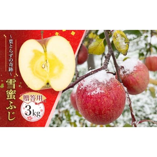 ふるさと納税 りんご 青森県 板柳町 蜜入り14度糖度保障 贈答用 雪蜜ふじ〜葉とらずの奇跡〜約3kg 青森りんご・マルコウアップル 果物類 フルーツ 林檎 リンゴ…