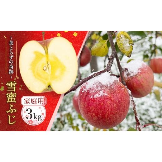 ふるさと納税 りんご 青森県 板柳町 蜜入り14度糖度保障 家庭用 雪蜜ふじ〜葉とらずの奇跡〜約3kg 青森りんご・マルコウアップル 果物類 フルーツ 林檎 リンゴ…