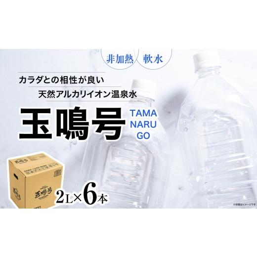 ふるさと納税 水・ミネラルウォーター 宮城県 大崎市 温泉水 2l×6本 天然アルカリイオン水 『玉鳴号』 飲む温泉水 地下1000m 温泉の源泉 鳴子温泉の天然温泉…