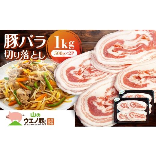 ふるさと納税 豚肉 バラ 長崎県 - 「山のウエノ豚」 バラ切り落とし1kg (500g×2) 長崎県/合同会社肉のマルシン 42A