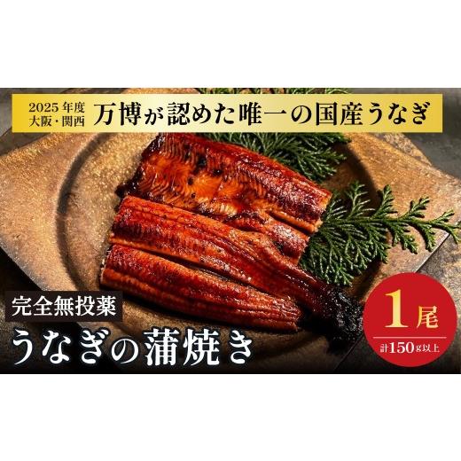 ふるさと納税 うなぎ 大阪府 阪南市 鰻 鰻の蒲焼き1尾| 国産うなぎ 国産 美陵鰻 うなぎ ウナギ 鰻 かば焼き 蒲焼きせいろ蒸し 土用の丑の日 土用 丑の日 贈答…