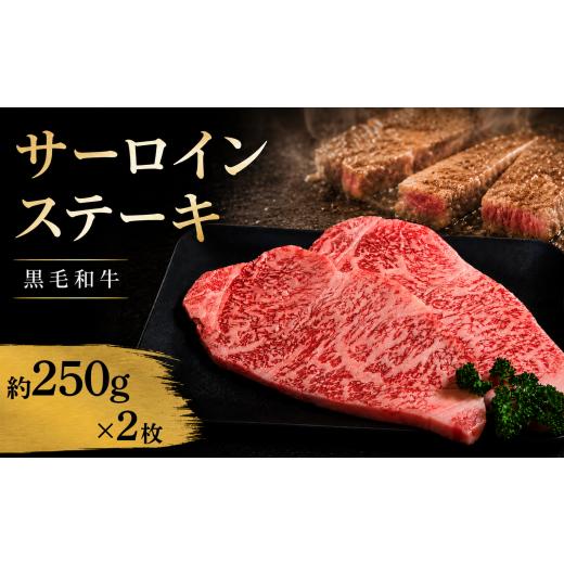 ふるさと納税 牛肉 サーロイン 徳島県 吉野川市 牛肉 サーロイン 黒毛和牛 ステーキ肉 1枚約250g 2枚 (計500g) 国産和牛 肉 にく ぎゅう うし 小分け 便利 ロ…