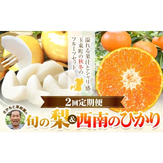 ふるさと納税 梨 熊本県 玉東町 フルーツ 定期便 旬の梨 3kg 西南のひかり 5kg 2回定期便 さかもと果樹園[梨:8月中旬-10月上旬頃出荷 みかん:12月中旬-12月…