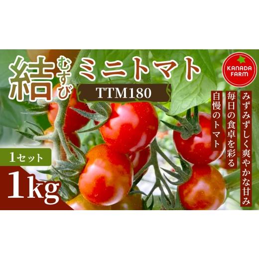 ふるさと納税 トマト ミニトマト 愛知県 豊橋市 [先行予約]結(むすび)ミニトマト(TTM180)1kg 1セット 新鮮野菜 フルーツ 旬 サラダ デザート お弁当 朝…