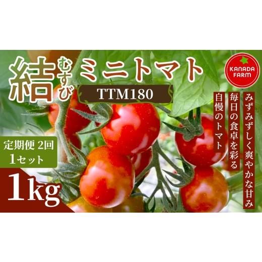 ふるさと納税 トマト ミニトマト 愛知県 豊橋市 [先行予約] 定期便2ヶ月 結(むすび)ミニトマト(TTM180)1kg 1セット 新鮮野菜 フルーツ 旬 サラダ デザー…