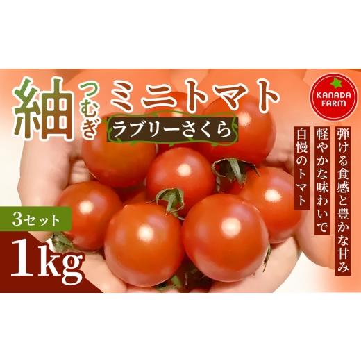 ふるさと納税 トマト ミニトマト 愛知県 豊橋市 [先行予約]紬(つむぎ)ミニトマト(ラブリーさくら) 1kg 3セット 新鮮野菜 フルーツ 旬 サラダ デザート …