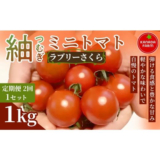 ふるさと納税 トマト ミニトマト 愛知県 豊橋市 [先行予約] 定期便2ヶ月 紬(つむぎ)ミニトマト(ラブリーさくら) 1kg 1セット 新鮮野菜 フルーツ 旬 サ…