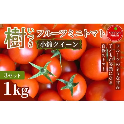 ふるさと納税 トマト ミニトマト 愛知県 豊橋市 [先行予約]樹(いつき)フルーツミニトマト(小鈴クイーン)1kg 3セット 甘い野菜 デザート感覚 おやつ スイ…