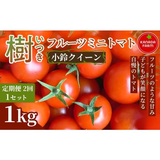 ふるさと納税 トマト ミニトマト 愛知県 豊橋市 [先行予約] 定期便2ヶ月 樹(いつき)フルーツミニトマト(小鈴クイーン)1kg 1セット 甘い野菜 デザート感…