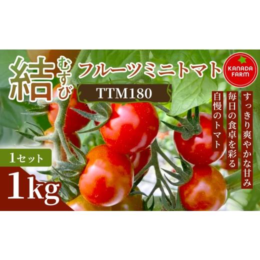 ふるさと納税 トマト ミニトマト 愛知県 豊橋市 [先行予約]結(むすび)フルーツミニトマト(TTM180)1kg 1セット 甘い野菜 デザート感覚 おやつ スイーツ感…