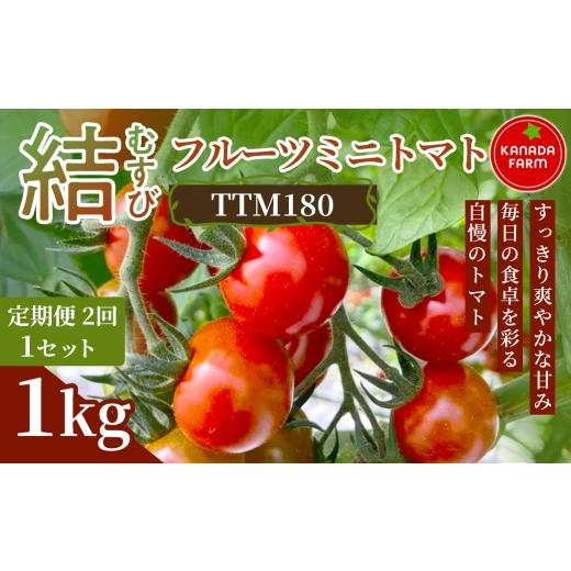 ふるさと納税 トマト ミニトマト 愛知県 豊橋市 [先行予約] 定期便2ヶ月 結(むすび)フルーツミニトマト(TTM180)1kg 1セット 甘い野菜 デザート感覚 おや…