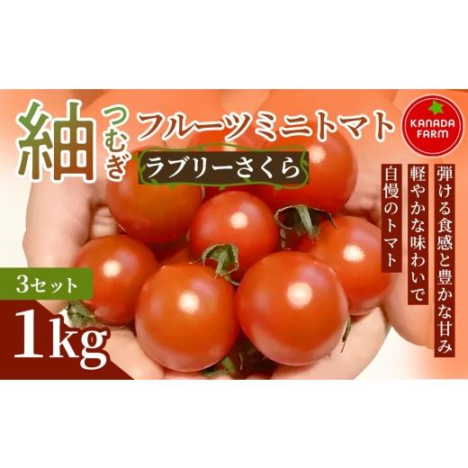 ふるさと納税 トマト ミニトマト 愛知県 豊橋市 [先行予約]紬(つむぎ)フルーツミニトマト(ラブリーさくら)1kg 3セット 甘い野菜 デザート感覚 おやつ ス…