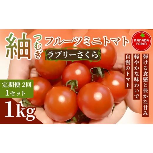 ふるさと納税 トマト ミニトマト 愛知県 豊橋市 [先行予約] 定期便2ヶ月 紬(つむぎ)フルーツミニトマト(ラブリーさくら)1kg 1セット 甘い野菜 デザート…