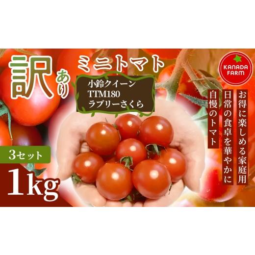 ふるさと納税 トマト ミニトマト 愛知県 豊橋市 [先行予約] お得に楽しめる家庭用 訳ありミニトマト 1kg 3セット 野菜 規格外 お買い得 自宅用 たっぷり ま…