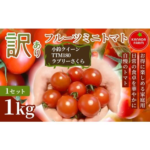 ふるさと納税 トマト ミニトマト 愛知県 豊橋市 [先行予約] お得に味わえる家庭用 訳ありフルーツミニトマト1kg 1セット 野菜 規格外 お買い得 自宅用 たっ…