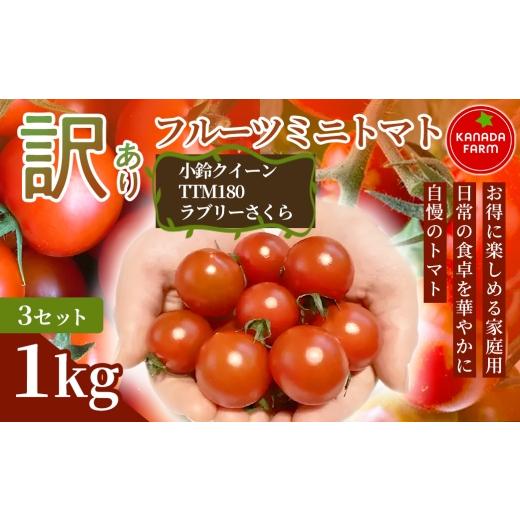 ふるさと納税 トマト ミニトマト 愛知県 豊橋市 [先行予約] お得に味わえる家庭用 訳ありフルーツミニトマト1kg 3セット 野菜 規格外 お買い得 自宅用 たっ…