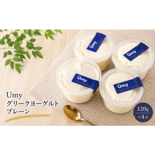 ふるさと納税 菓子 ヨーグルト 愛知県 武豊町 Umyグリークヨーグルト プレーン 計4個セット│高たんぱく よーぐると 乳製品 スイーツ