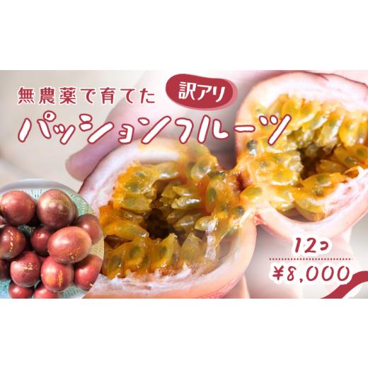 ふるさと納税 果物類 鹿児島県 西之表市 訳あり 夏季限定 種子島 さご農園 パッションフルーツ サマークイーン (12個) NFN683 200pt 種子島産 数量限定 南国…