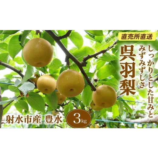 ふるさと納税 梨 富山県 射水市 射水のおいしい果実 梨 直売所直送 野開梨園の“呉羽梨" 豊水3kg(8〜9個/箱) 2026年9月〜発送