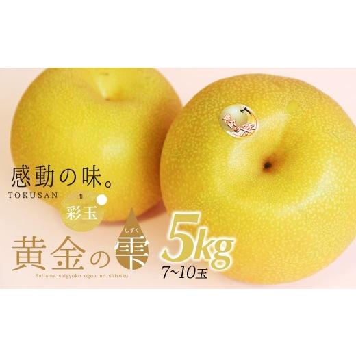 ふるさと納税 米 埼玉県 上尾市 期間限定 黄金の雫 ブランド梨 5kg|梨 なし ナシ 彩玉 ブランド梨 ジャンボ梨 旬 フルーツ 果物 旬 くだもの なし 黄金の雫 …