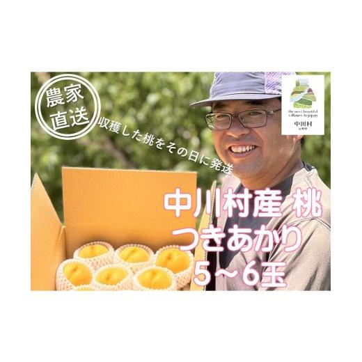 ふるさと納税 もも 長野県 中川村 担当者おすすめ「味覚の里なかがわ」の採れたてくだもの 農家直送 於利屋荒井農園の桃(つきあかり)約1.5Kg