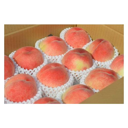 ふるさと納税 もも 和歌山県 和歌山市 [先行予約]訳あり桃 約1.5kg 4〜8玉入り 和歌山県産日川・白鳳・清水白鳳・川中島等