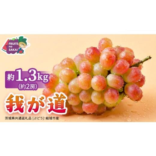 ふるさと納税 果物類 ぶどう 茨城県 つくばみらい市 我が道 約1.3kg (約2房) 2026年8月より発送開始 (茨城県共通返礼品 ぶどう :結城市産) ぶどう ブドウ…