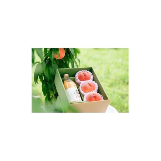 ふるさと納税 もも 山梨県 山梨市 桃尽くしセット〜桃3個と桃100%ジュース1本〜 1752123