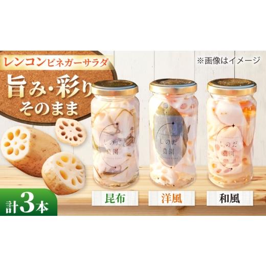 ふるさと納税 缶詰・瓶詰 愛知県 愛西市 レンコンビネガーサラダ 3本(和風・洋風・昆布) ピクルス 常備菜 おかず 愛西市 / しのだ農園-SHINODA FARM- AECE0…