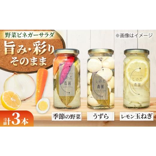 ふるさと納税 缶詰・瓶詰 愛知県 愛西市 野菜ビネガーサラダ 3本(うずら・季節の野菜・レモン玉ねぎ) ピクルス 常備菜 おかず 愛西市 / しのだ農園-SHINODA…