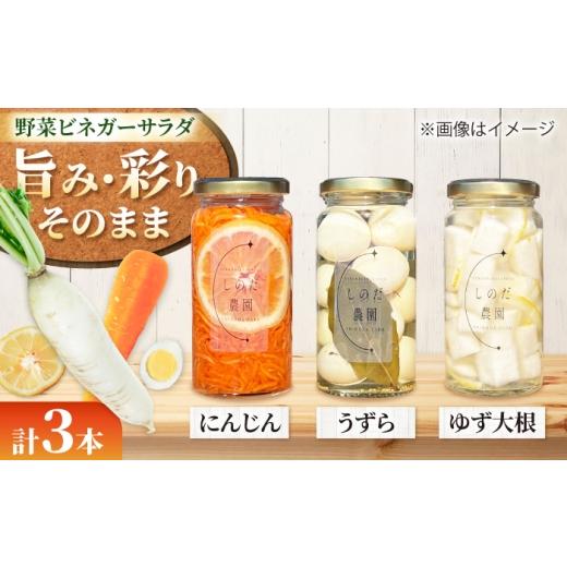 ふるさと納税 缶詰・瓶詰 愛知県 愛西市 野菜ビネガーサラダ 3本(うずら・ゆず大根・にんじん) ピクルス 常備菜 おかず 愛西市 / しのだ農園-SHINODA FARM-…