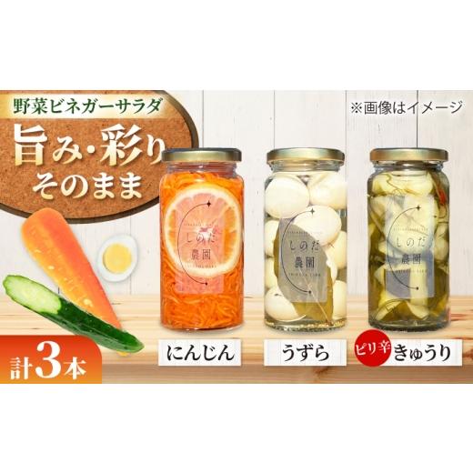 ふるさと納税 缶詰・瓶詰 愛知県 愛西市 野菜ビネガーサラダ 3本(うずら・ピリ辛きゅうり・にんじん) ピクルス 常備菜 おかず 愛西市 / しのだ農園-SHINODA…